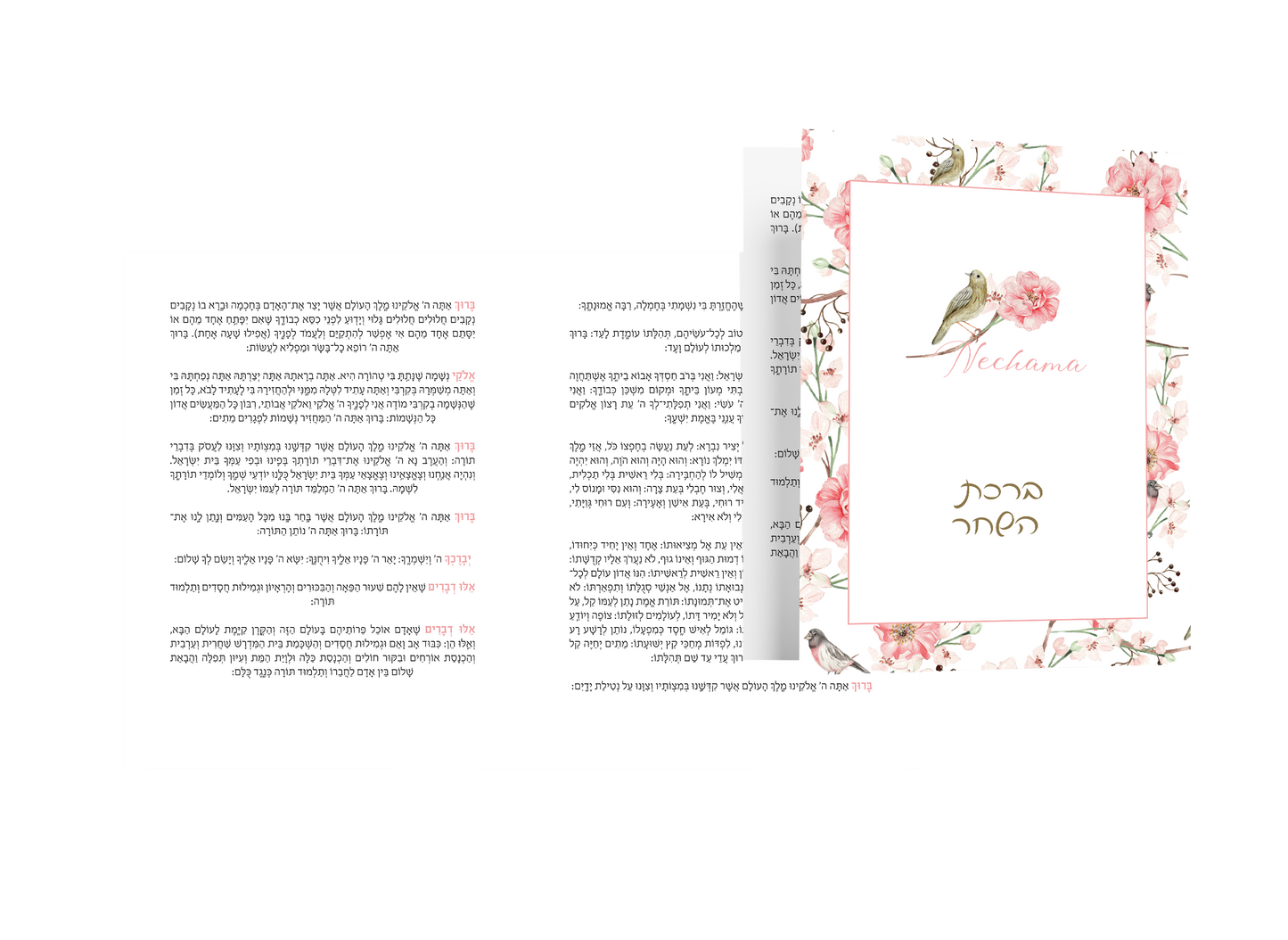 Birchas Hashachar Card