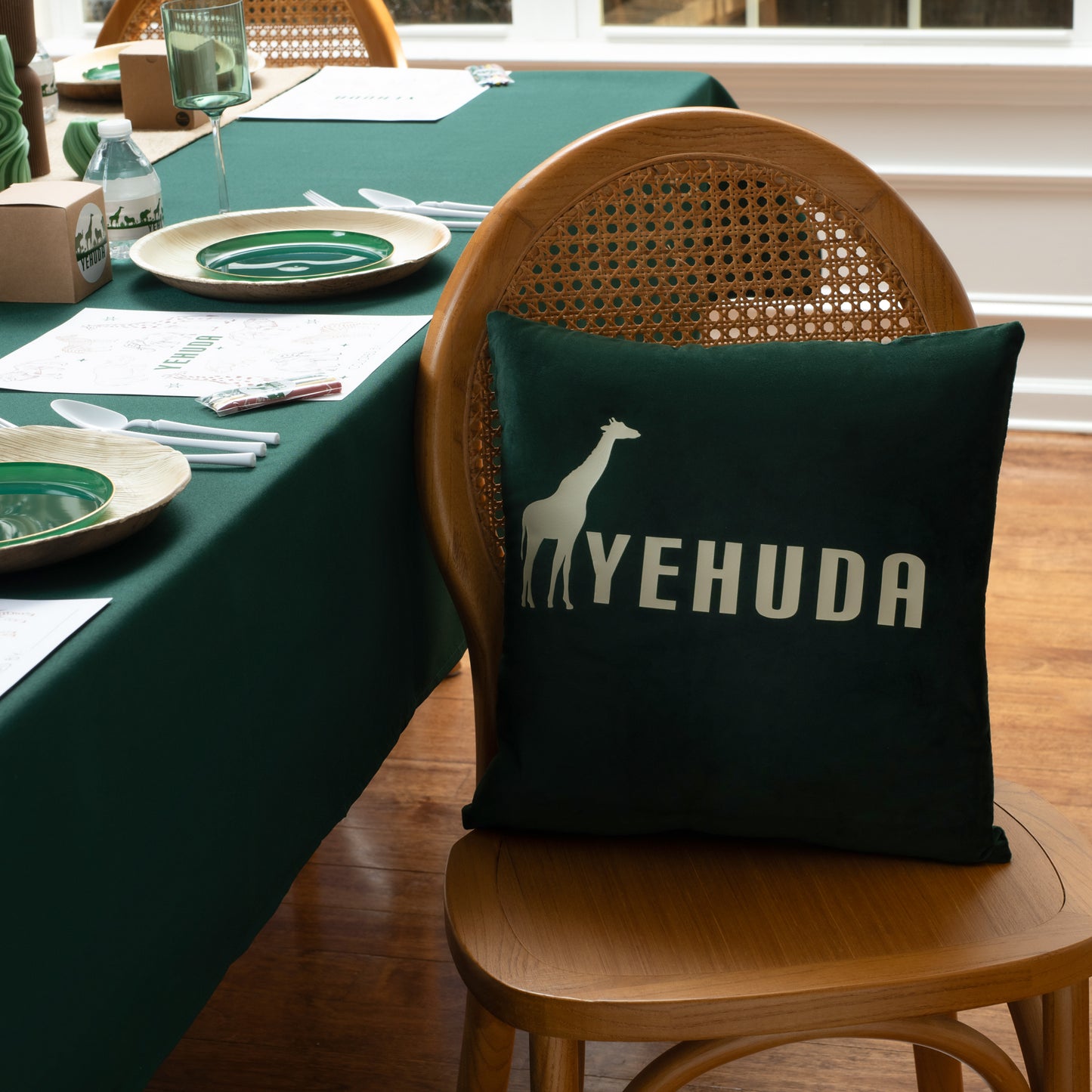 Pillow - colored with solid logo